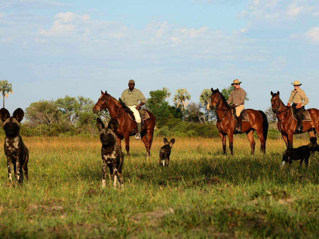 macatoo camp african horseback safaris
